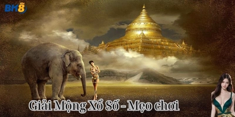 Chiến Thuật Chơi Khi Giải Mộng Xổ Số