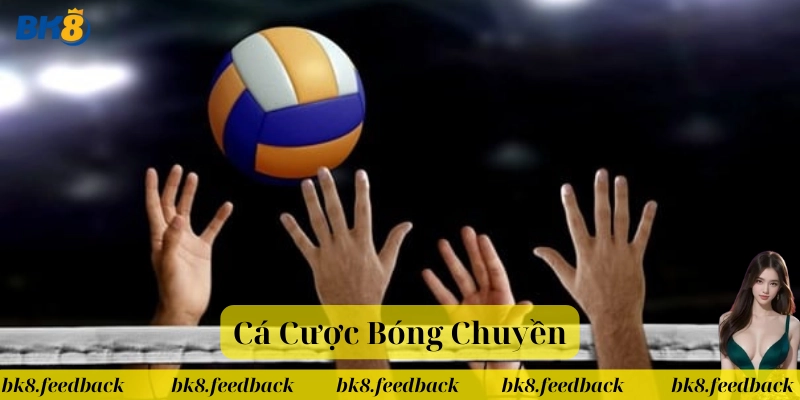 Cá Cược Bóng Chuyền là gì? 