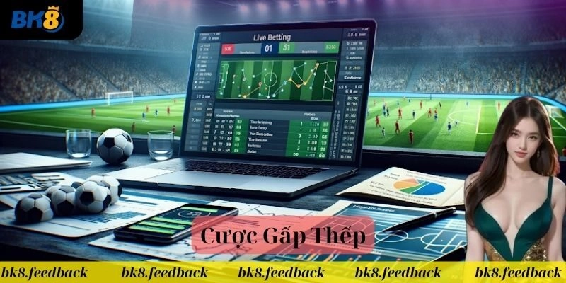 Cược Gấp Thếp Có Thực Sự Hiệu Quả?