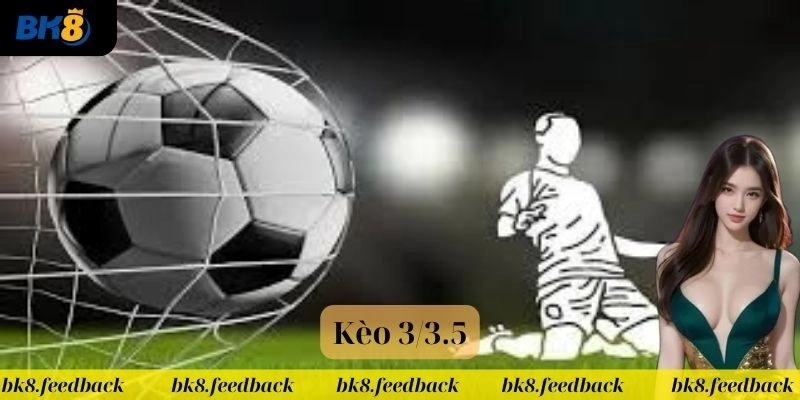 Cách đọc kèo 3/3.5 người mới cần nắm