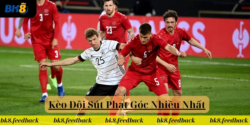 Các loại kèo thường gặp